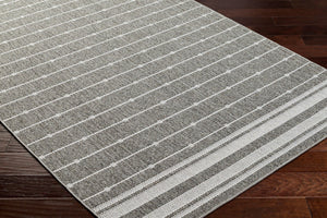 Livabliss Pismo Beach Polypropylene Indoor Outdoor Area Rug Durable Woven Patio Living Room Tan, White 7'10" x 10' PMB2318-71010
