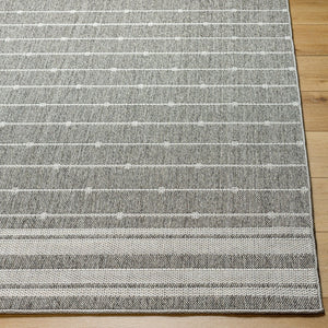 Livabliss Pismo Beach Polypropylene Indoor Outdoor Area Rug Durable Woven Patio Living Room Tan, White 7'10" x 10' PMB2318-71010