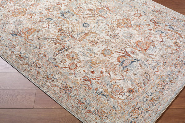Livabliss Poem Collection Traditional Fringe Area Rug Woven Polyester for Living Dining Rooms Cream, Slate 2'7" x 3'11" PME2300-27311