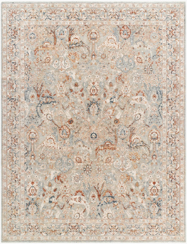 Livabliss Poem Vintage Style Fringe Area Rug Polyester Machine Woven for Living Dining Rooms Cream, Slate 2'7" x 3'11" PME2302-27311