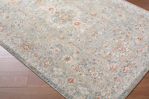 Livabliss Poem Traditional Fringe Area Rug Machine Woven Polyester for Living and Dining Rooms Cream, Slate 5'3" x 5'3" PME2303-53RD