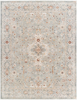 Livabliss Poem Traditional Fringe Area Rug Machine Woven Polyester for Living and Dining Rooms Cream, Slate 5'3" x 5'3" PME2303-53RD