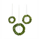 Preserved Boxwood Wreaths with Ivory Ribbon, Set of 3 EBD80077 Park Hill