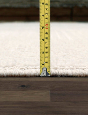 Pasargad Home Turkish Sutton Transitional Ivory Area Rug - Elevate Your Space With Style   Pmf-551iv 8x10