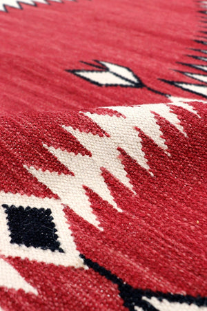 Pasargad Tuscany Collection Handwoven Geometric 100% Wool Area Rug For Timeless Home Elegance   Pnt-282 9x12