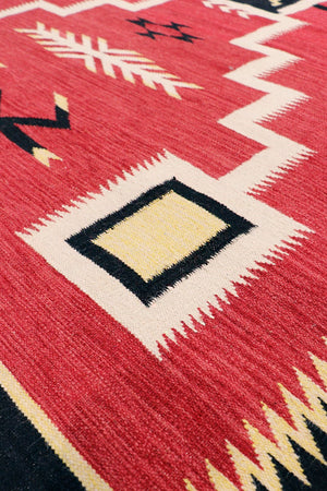 Pasargad Tuscany Collection Reversible Wool Area Rug - Modern Geometric Design For Any Space   Pnt-330 6x9