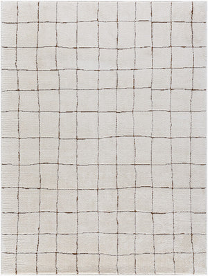 Livabliss Presidential Collection Area Rug – Stylish Mid-century Modern Design, Durable & Easy To Maintain Ivory,Brown Polyester Pnwcs2300-1014