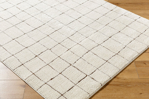 Livabliss Cascade Machine Woven Polyester Area Rug High-low Grid Texture for Living Rooms Ivory, Brown 2'7" x 12' PNWCS2300-2712