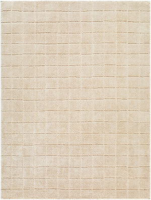 Livabliss Cascade Bohemian Global Plush Polyester Area Rug Woven in Turkey for Living Rooms Light Beige, Li 9'2" x 12' PNWCS2304-9212