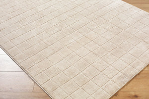 Livabliss Cascade Bohemian Global Plush Polyester Area Rug Woven in Turkey for Living Rooms Light Beige, Li 9'2" x 12' PNWCS2304-9212