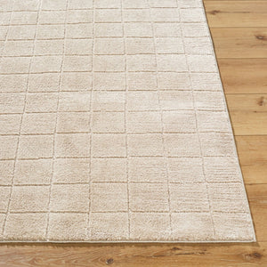 Livabliss Cascade Bohemian Global Plush Polyester Area Rug Woven in Turkey for Living Rooms Light Beige, Li 9'2" x 12' PNWCS2304-9212