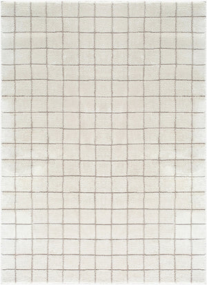 Livabliss Cascade Bohemian Global High Pile Polyester Area Rug for Living and Dining Spaces Ivory, Taupe 5'3" x 7' PNWCS2305-537