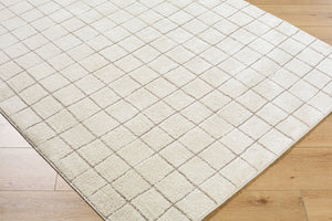 Livabliss Cascade Bohemian Global High Pile Polyester Area Rug for Living and Dining Spaces Ivory, Taupe 5'3" x 7' PNWCS2305-537