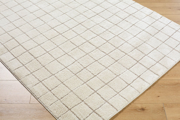 Livabliss Cascade Bohemian Global High Pile Polyester Area Rug for Living and Dining Spaces Ivory, Taupe 5'3" x 7' PNWCS2305-537