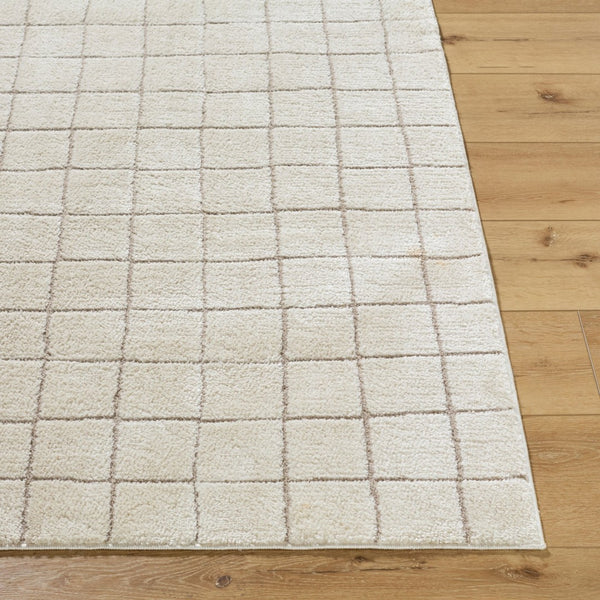 Livabliss Cascade Bohemian Global High Pile Polyester Area Rug for Living and Dining Spaces Ivory, Taupe 5'3" x 7' PNWCS2305-537