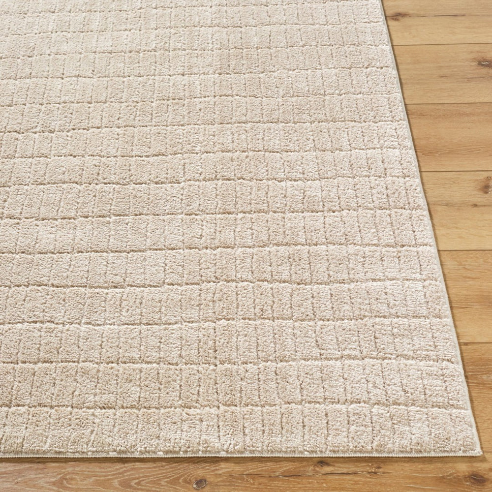 Livabliss Cascade Bohemian Global Plush Polyester Area Rug Turkey Woven for Large Living Spaces Light Beige, Li 7'10" x 10' PNWCS2306-71010