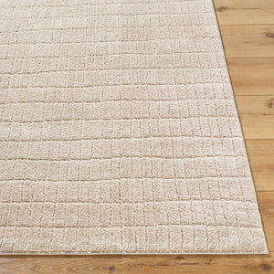 Livabliss Cascade Bohemian Global Plush Polyester Area Rug Turkey Woven for Large Living Spaces Light Beige, Li 7'10" x 10' PNWCS2306-71010