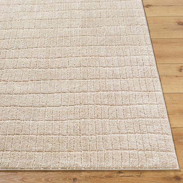 Livabliss Cascade Bohemian Global Plush Polyester Area Rug Turkey Woven for Large Living Spaces Light Beige, Li 7'10" x 10' PNWCS2306-71010