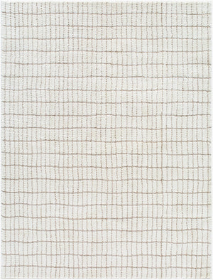 Livabliss Cascade Bohemian Global Plush High Pile Polyester Rug for Large Living Spaces Ivory, Taupe 10' x 14' PNWCS2307-1014