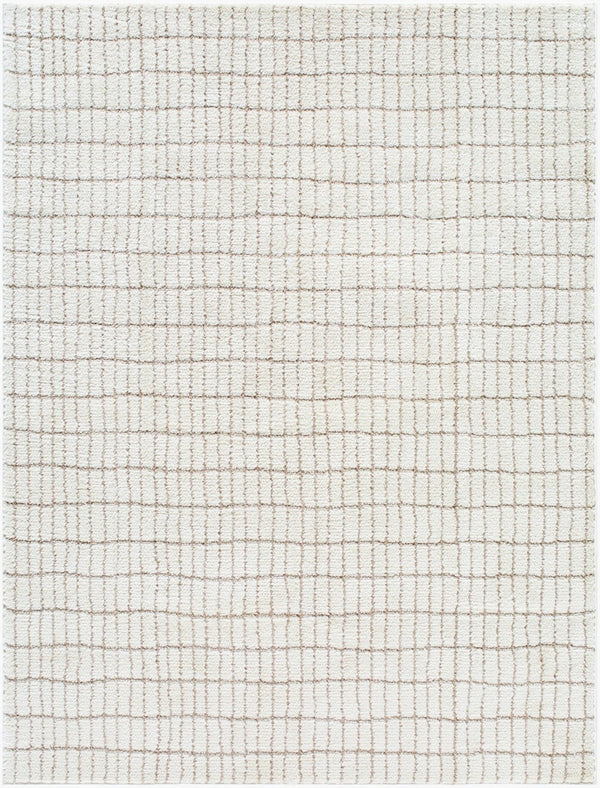Livabliss Cascade Bohemian Global Plush High Pile Polyester Rug for Large Living Spaces Ivory, Taupe 10' x 14' PNWCS2307-1014