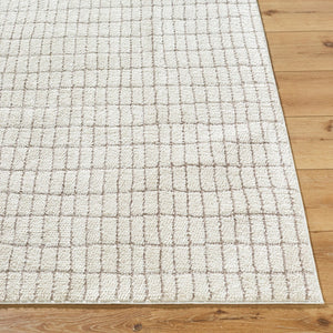 Livabliss Cascade Bohemian Global Plush High Pile Polyester Rug for Large Living Spaces Ivory, Taupe 2'7" x 12' PNWCS2307-2712
