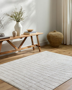 Livabliss Cascade Bohemian Global Plush High Pile Polyester Rug for Large Living Spaces Ivory, Taupe 10' x 14' PNWCS2307-1014