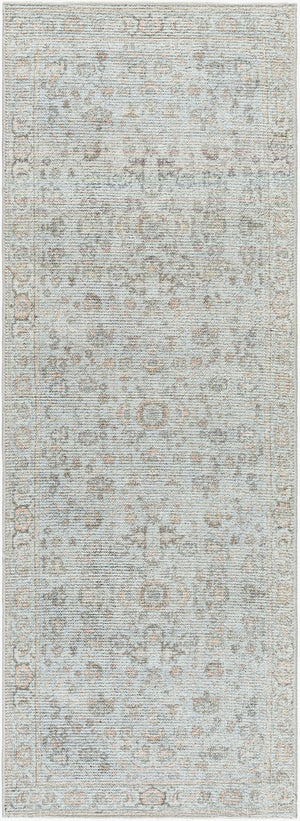 Livabliss Olympic Faded Filigree Area Rug Polyester Traditional Style for Living Rooms Gray, Tan 2'7" x 10' PNWOL2303-2710