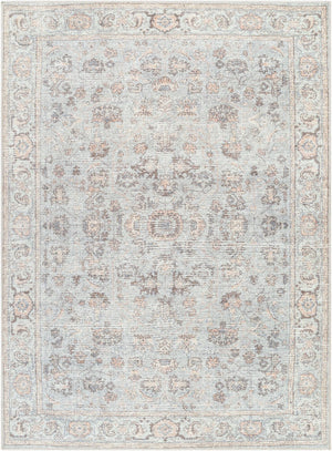 Livabliss Olympic Faded Filigree Area Rug Polyester Traditional Style for Living Rooms Gray, Tan 10' x 14' PNWOL2303-1014