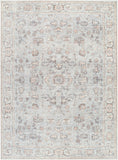 Olympic PNWOL-2303 6'7" x 9' Machine Woven Rug PNWOL2303-679 Livabliss Surya