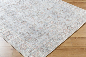 Livabliss Olympic Faded Filigree Area Rug Polyester Traditional Style for Living Rooms Gray, Tan 9'2" x 12' PNWOL2303-9212