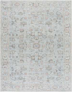 Livabliss Olympic Faded Filigree Area Rug Polyester Traditional Style for Living Rooms Gray, Tan 7'10" x 10' PNWOL2303-71010