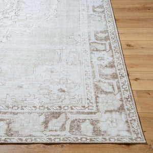 Livabliss Rainier Medallion Flatweave Area Rug Antique Pewter Polyester for Living Room Light Sage, Cre 8'10" x 12' PNWRN2300-81012