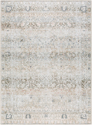 Livabliss Rainier Flatweave Polyester Area Rug Antique Distressed Turkish Traditional Pattern Neutral Tones Olive, Brown 10' x 14' PNWRN2302-1014
