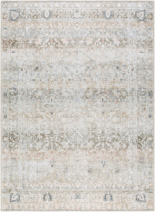 Livabliss Rainier Flatweave Polyester Area Rug Antique Distressed Turkish Traditional Pattern Neutral Tones Olive, Brown 10' x 14' PNWRN2302-1014