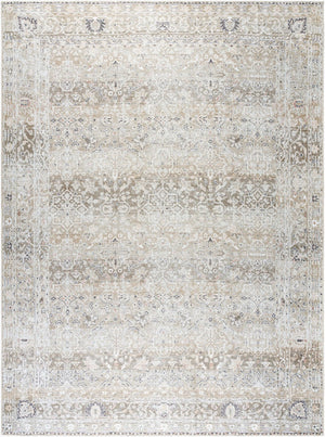 Livabliss Rainier Flatweave Polyester Area Rug Antique Distressed Turkish Traditional Pattern Neutral Tones Olive, Brown 8'10" x 12' PNWRN2302-81012