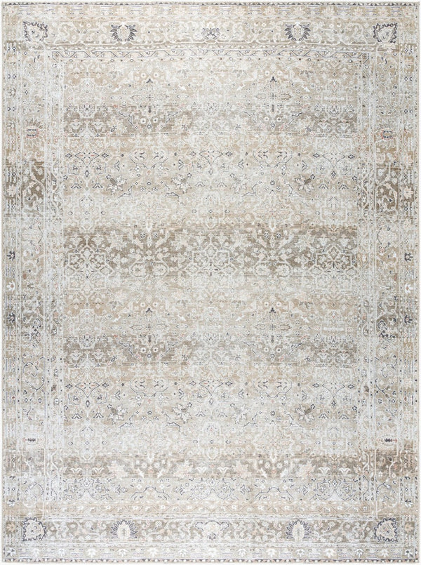 Livabliss Rainier Flatweave Polyester Area Rug Antique Distressed Turkish Traditional Pattern Neutral Tones Olive, Brown 8'10" x 12' PNWRN2302-81012