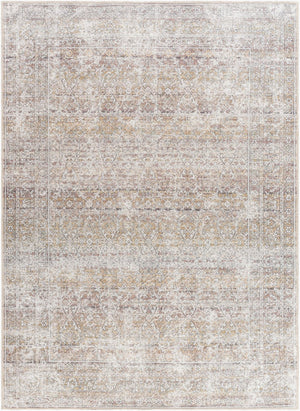 Livabliss Rainier Flatweave Polyester Area Rug Filigreed Antique Pattern for Farmhouse Living Rooms Light Brown, Cr 10' x 14' PNWRN2303-1014