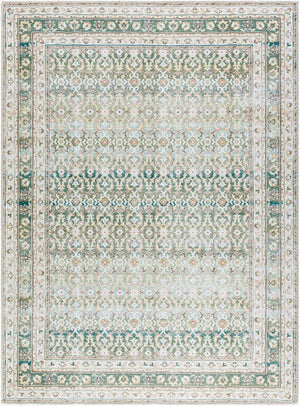 Livabliss Rainier Filigree Polyester Area Rug Machine Woven Organic Forest Palette Living Room Olive, Seafoam 5'3" x 7'3" PNWRN2304-5373