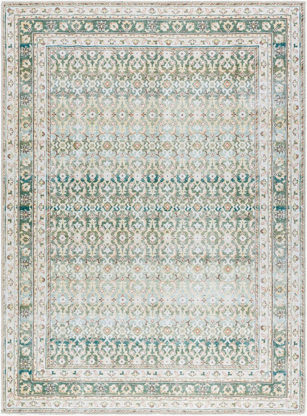 Livabliss Rainier Filigree Polyester Area Rug Machine Woven Organic Forest Palette Living Room Olive, Seafoam 5'3" x 7'3" PNWRN2304-5373