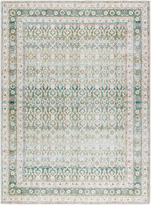 Rainier PNWRN-2304 7'10" x 10'2" Machine Woven Rug PNWRN2304-710102 Livabliss Surya