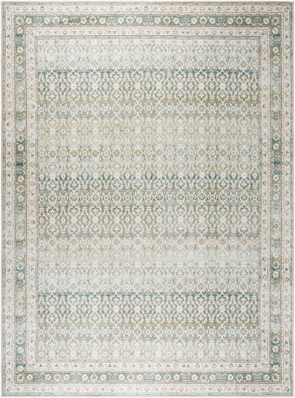 Livabliss Rainier Filigree Polyester Area Rug Machine Woven Organic Forest Palette Living Room Olive, Seafoam 8'10" x 12' PNWRN2304-81012
