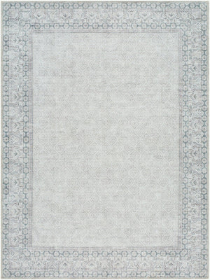 Livabliss Rainier Cottage Style Machine Woven Polyester Area Rug for Living and Dining Rooms White, Blue 7'10" x 10'2" PNWRN2308-710102