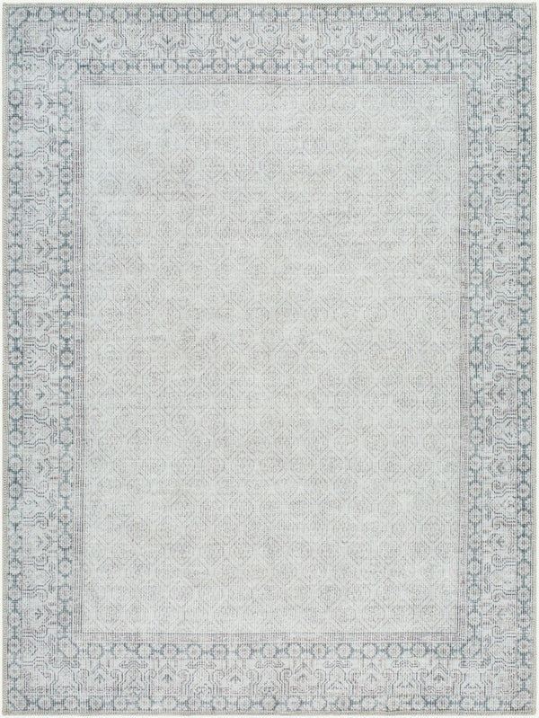 Livabliss Rainier Cottage Style Machine Woven Polyester Area Rug for Living and Dining Rooms White, Blue 7'10" x 10'2" PNWRN2308-710102