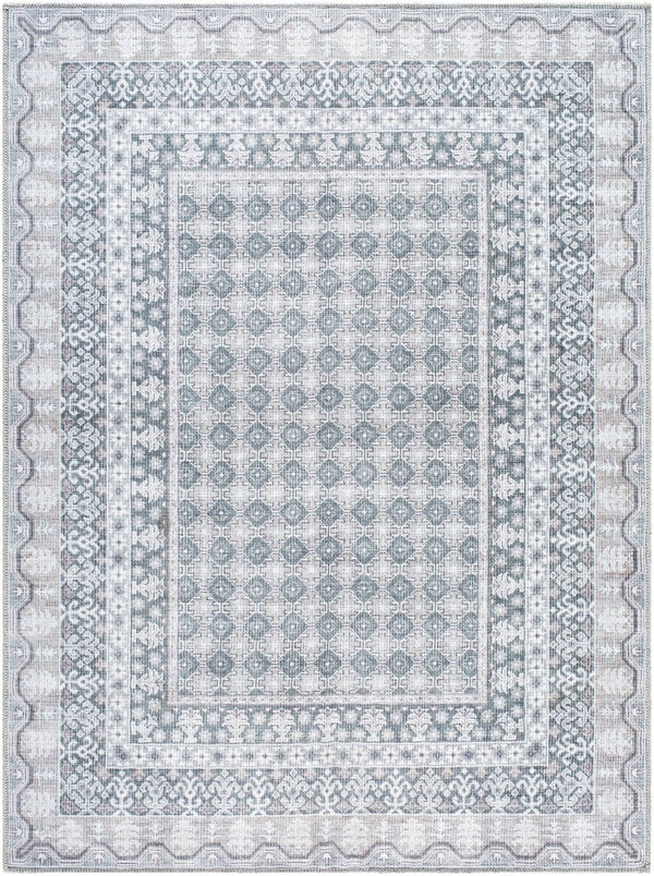Livabliss Rainier Cottage Style Polyester Area Rug Woven in Turkey for Living and Dining Rooms Sage, Tan 10' x 14' PNWRN2311-1014