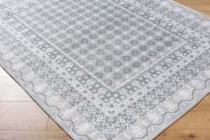 Livabliss Rainier Cottage Style Polyester Area Rug Woven in Turkey for Living and Dining Rooms Sage, Tan 10' x 14' PNWRN2311-1014