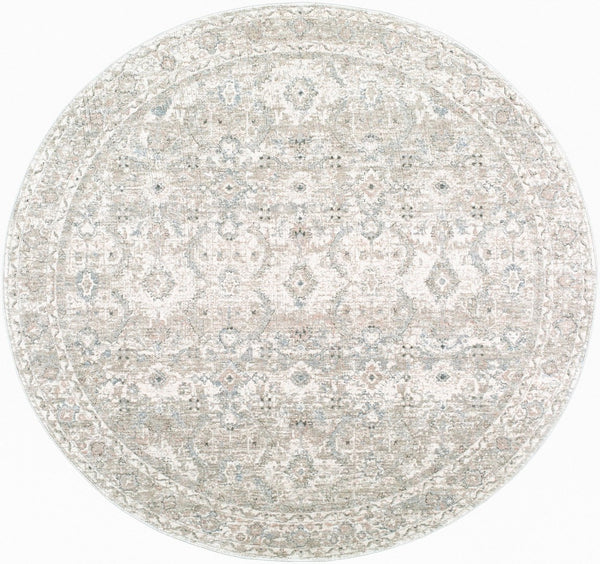 Livabliss Poetry Machine Woven Polyester Area Rug Ornate Traditional Pattern with Soft Fringe Border Light Slate, Cr 5'3" x 5'3" POI2304-53RD