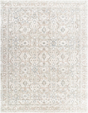 Livabliss Poetry Machine Woven Polyester Area Rug Ornate Traditional Pattern with Soft Fringe Border Light Slate, Cr 7'10" x 10'2" POI2304-710102
