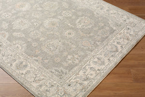 Livabliss Poetry Machine Woven Polyester Area Rug with Fringe Trim for Large Living Spaces Light Sage, Sla 6'7" x 9'6" POI2305-6796