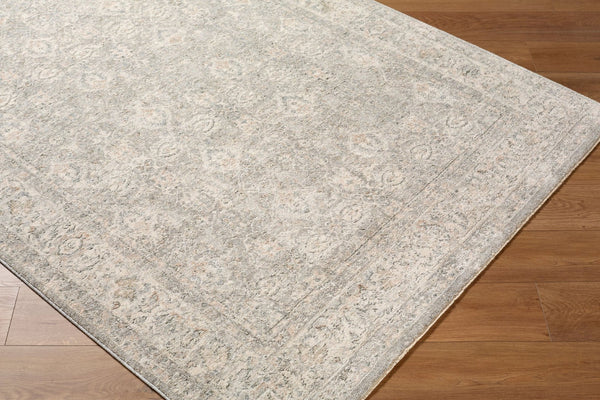 Livabliss Poetry Traditional Fringe Area Rug Turkish Woven Polyester for Living Room Bedroom Cream, Light Sa 12' x 15' POI2306-1215