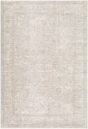 Livabliss Poetry Collection Traditional Fringe Area Rug Woven in Turkey for Living Rooms Light Gray, Lig 2' x 2'11" POI2319-2211